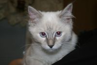 Helmi <3