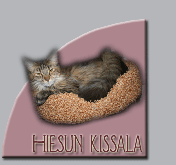 Hiesun kissala